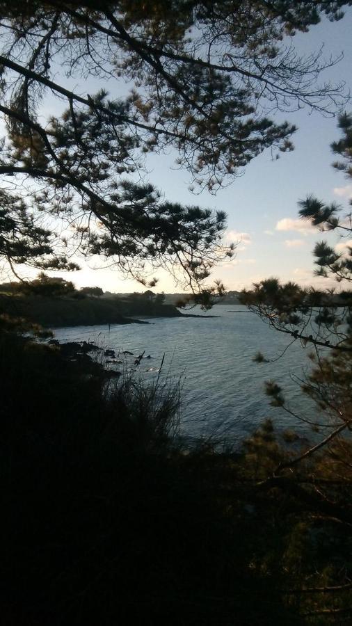 Tente 3 Chambres, Petit Camping Familial Vue Mer Plestin-les-Grèves Eksteriør billede